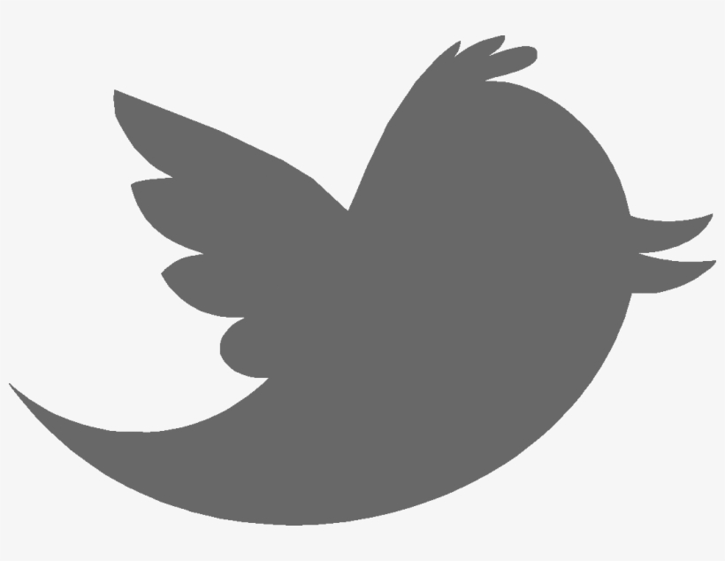 Thank The Members Of The Senate And House Appropriations - Twitter Logo Gray Png, transparent png download