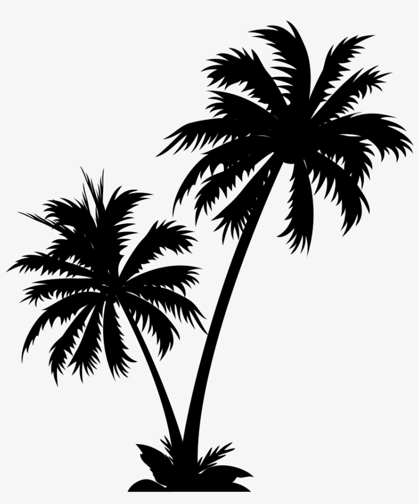Coconut Tree - - Bestickers Wall Vinyl Sticker Decals Mural Room Design, transparent png download