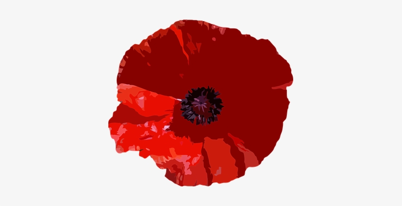 Flower Floral Botanical Plant Nature Botan - Poppy Journal [book], transparent png download