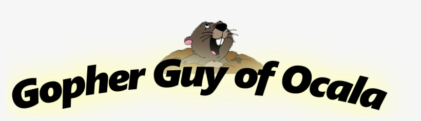 Gopher From Winnie The Pooh, transparent png download