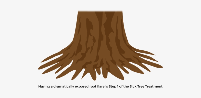 Trees Succumb To Insect Pests And Diseases Because - Water, transparent png download