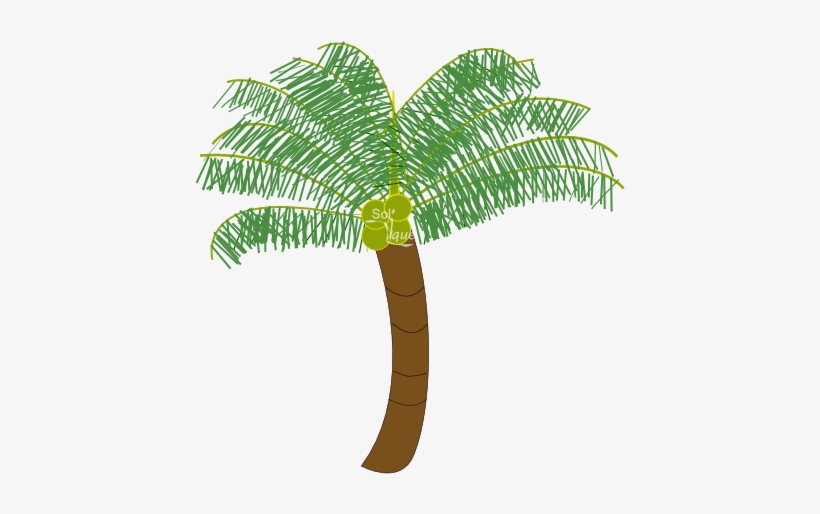 New Coconut Tree Images Free Download Coconut Tree - Digital Art, transparent png download