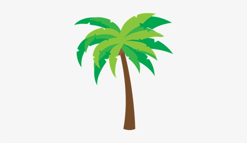 Coconut-tree - 5 Trees Clip Art, transparent png download