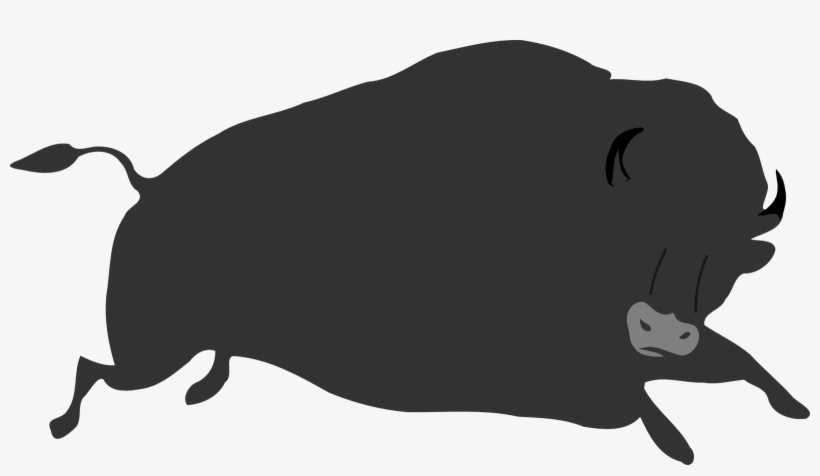 Custom Grey Buffalo Shower Curtain, transparent png download