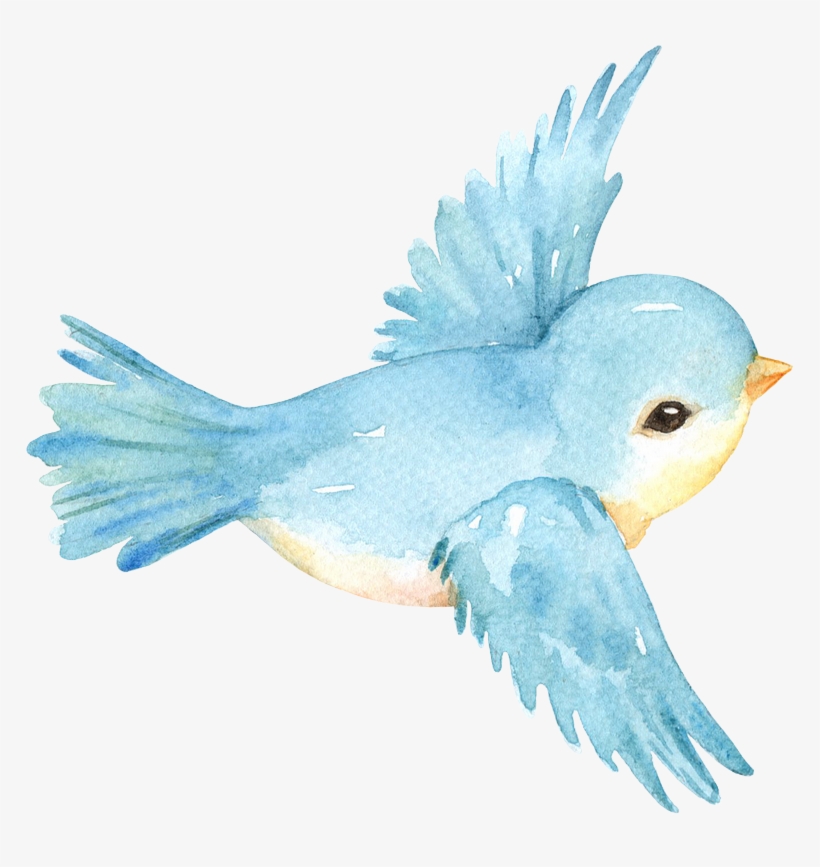 Image Du Blog Zezete2 - Bird, transparent png download