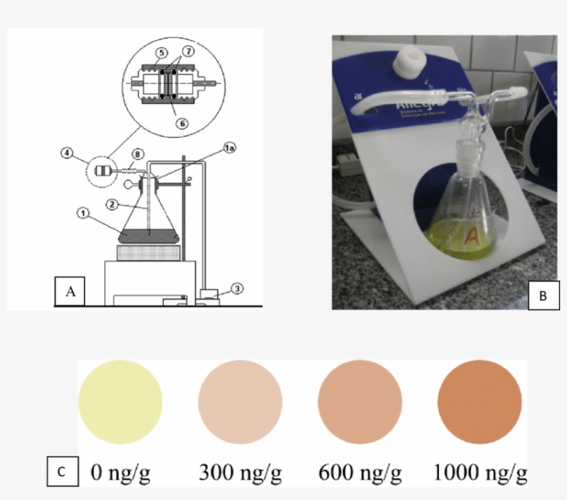A) Determination System Of Mercury In Fish And Environmental - Common Fig, transparent png download