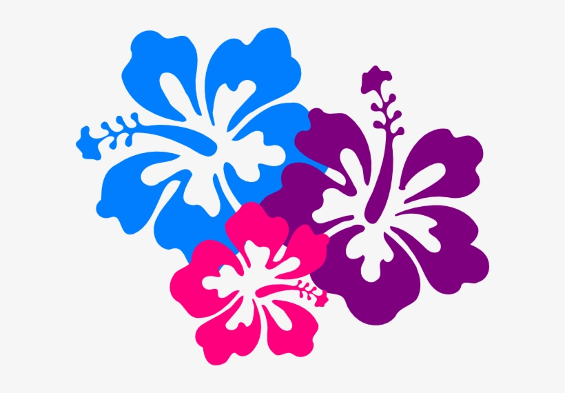 Hibiscus Flowers Png - Hibiscus Clip Art, transparent png download