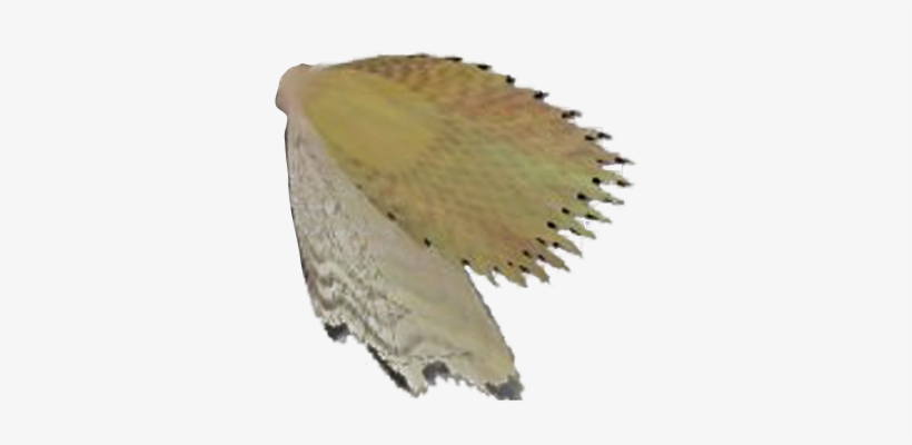 I Bore The Necessary Responsibilities Of Scheduling - Vaux S Swift, transparent png download