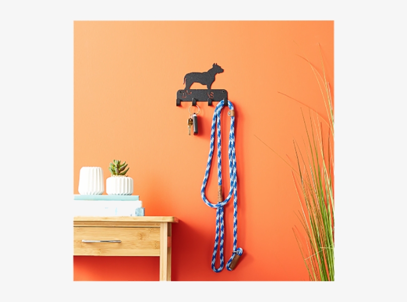 Something For The Organized - Pit Bull, transparent png download