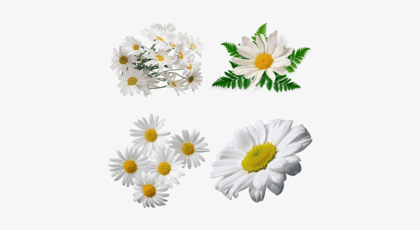 Patanjali Dant Kanti Junior Dantal Cream Toothpaste, transparent png download