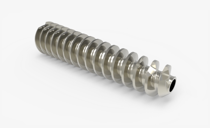 See All Images - Bone, transparent png download