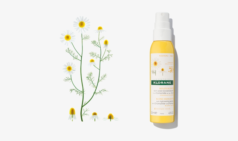 Highlighter, transparent png download