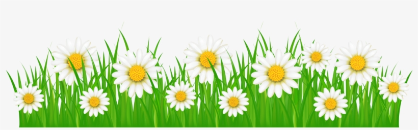 Hvac Tips The First Day Of Spring - Grass With Flowers Png, transparent png download