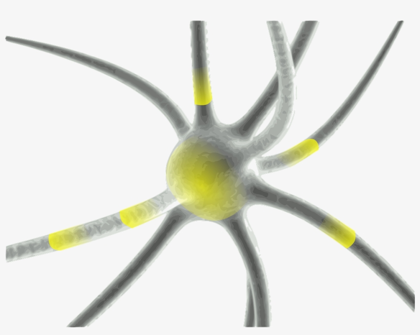 Brain Synapses Png, transparent png download