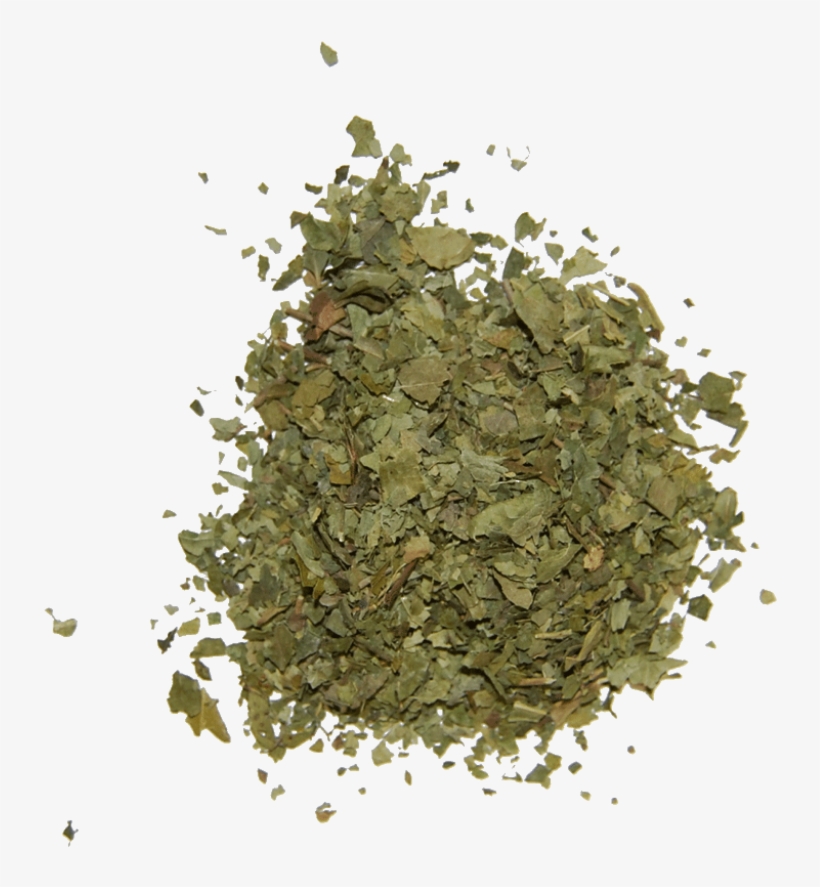 Curry Leaf - Portable Network Graphics, transparent png download