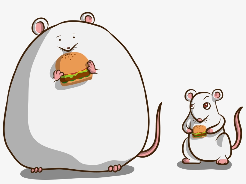 Ob/ob Mice - Knockout Obese Mice, transparent png download