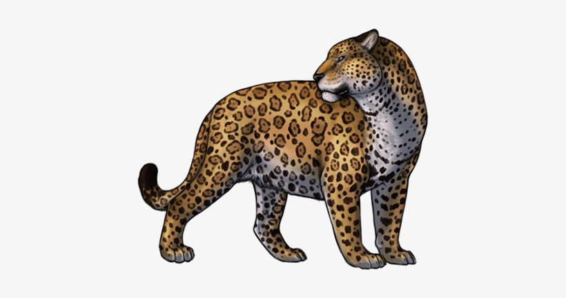 Jaguar Png Cliparts - Jaguar Png, transparent png download
