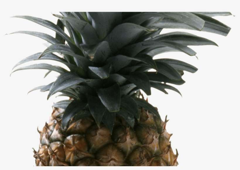 Pineapple Clipart Five Pencil And In Color Pineapple - Pineapple With No Background, transparent png download