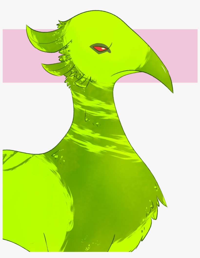 Details - Wood Duck, transparent png download