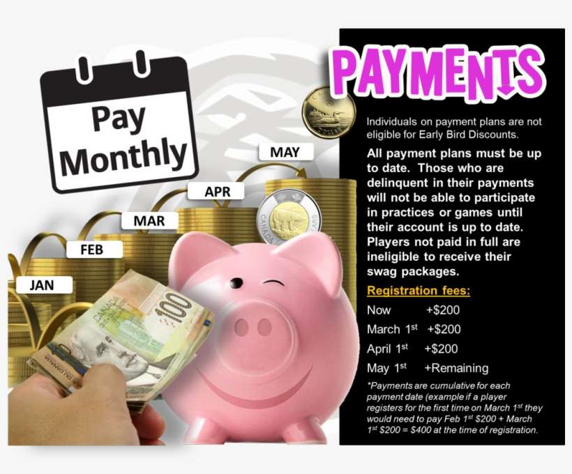 Individuals On Payment - Domestic Pig, transparent png download