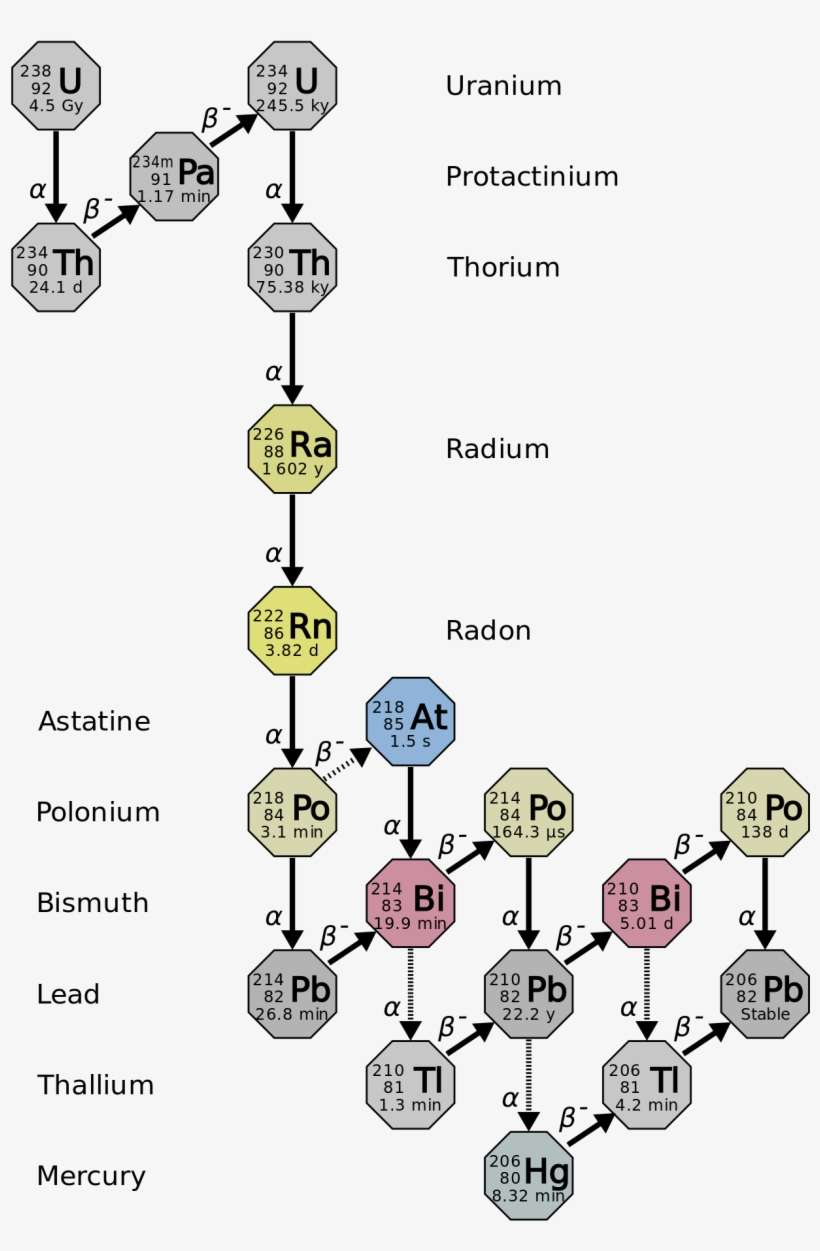 Figure 17 - 3 - 3 - Uranium 238 Decay Chain - Image - Lead To Gold Decay Chain, transparent png download