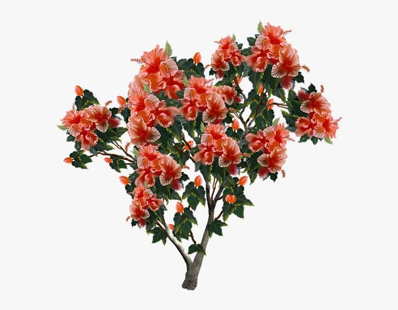 Photo Flor-preciosa - Bouquet, transparent png download