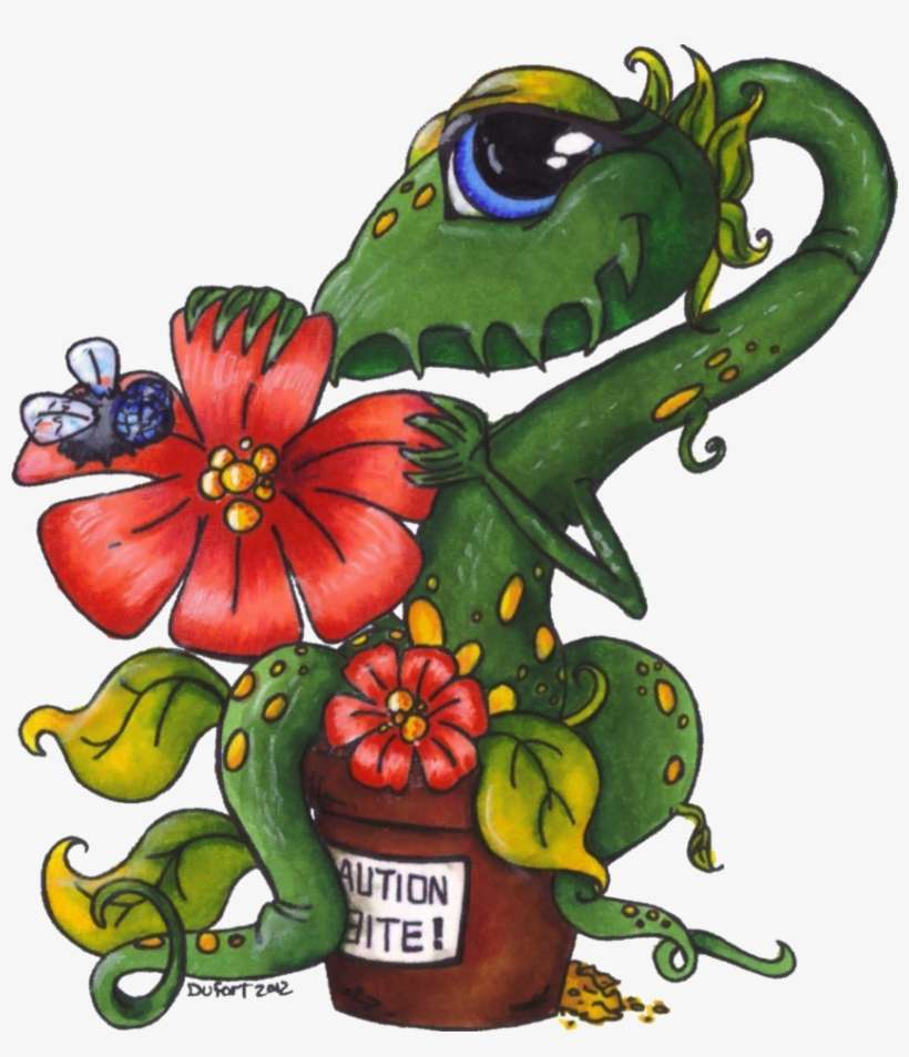 Shy Venus Fly Trap Lines By Jadedragonne By Vinpip - Beautiful Venus Fly Trap, transparent png download