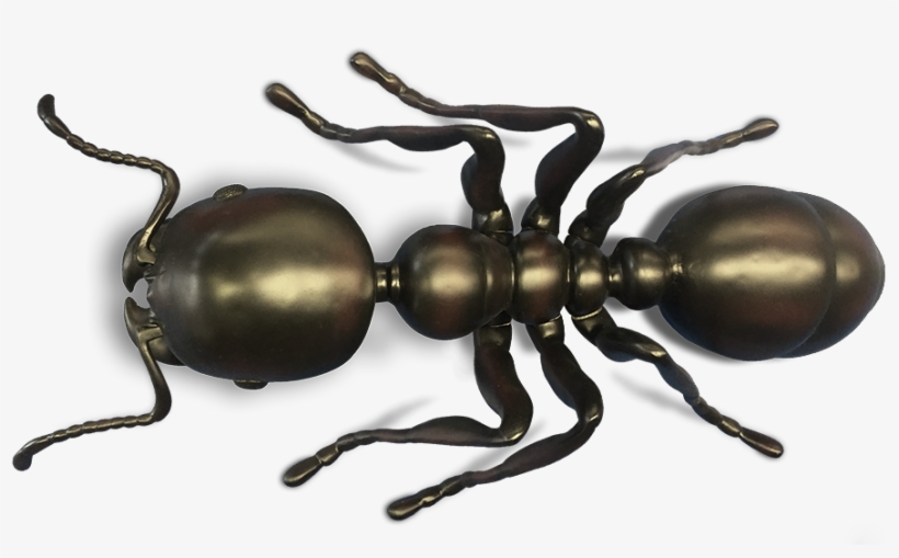 Giant Ant Model - Big Ant Model, transparent png download