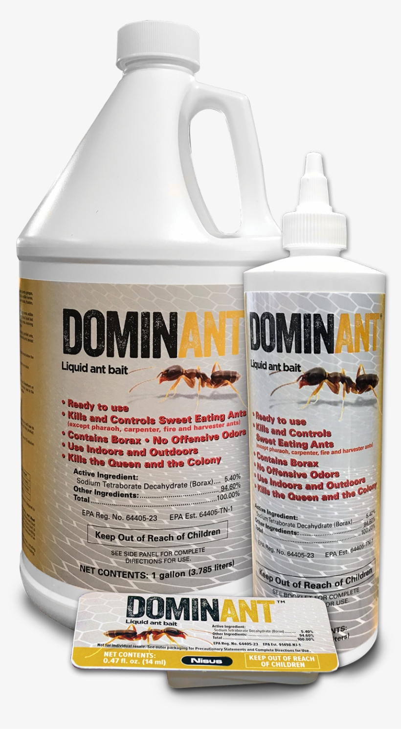 It Kills And Controls Most Common Household Ants And - Koi, transparent png download