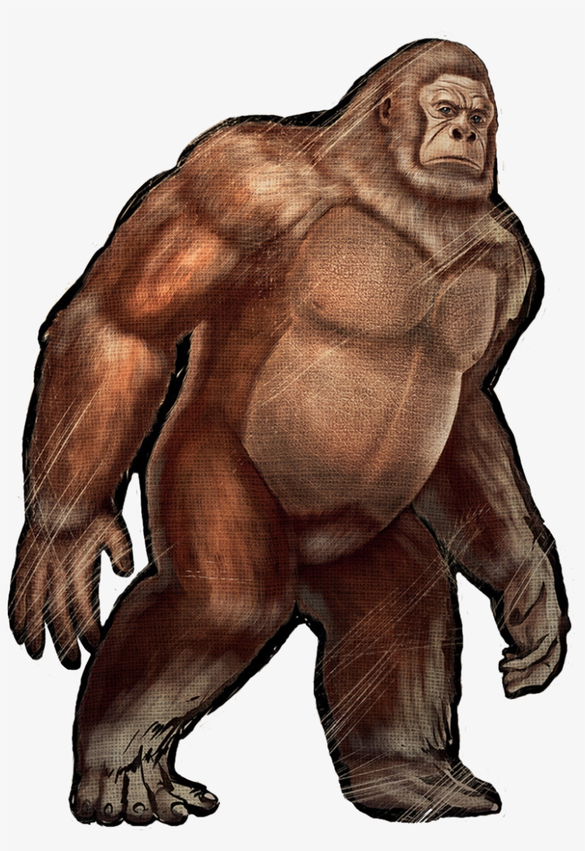 9 10 11 12 - Homo Neanderthalensis Png, transparent png download