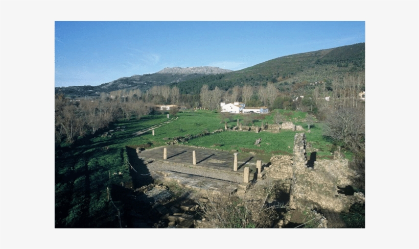 View Of The Ruins Of The Southern Gate Of The Roman - Tree, transparent png download