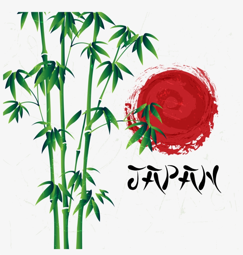 Adobe Painted Transprent Png Free Download Plant - Adobe Illustrator, transparent png download