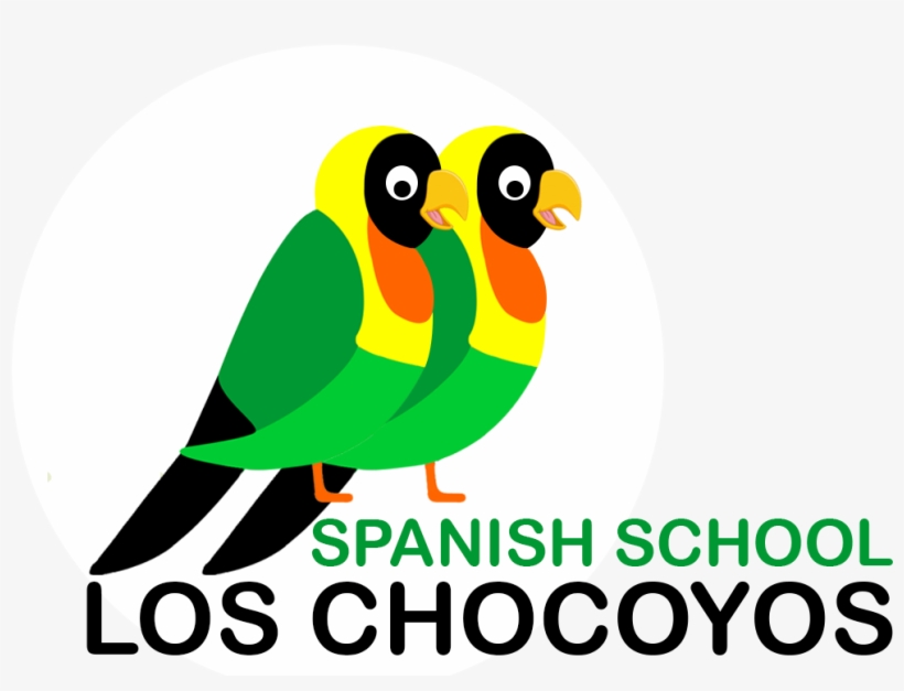 Learn Guatemala School Quetzaltenango Studying At - Spanish, transparent png download