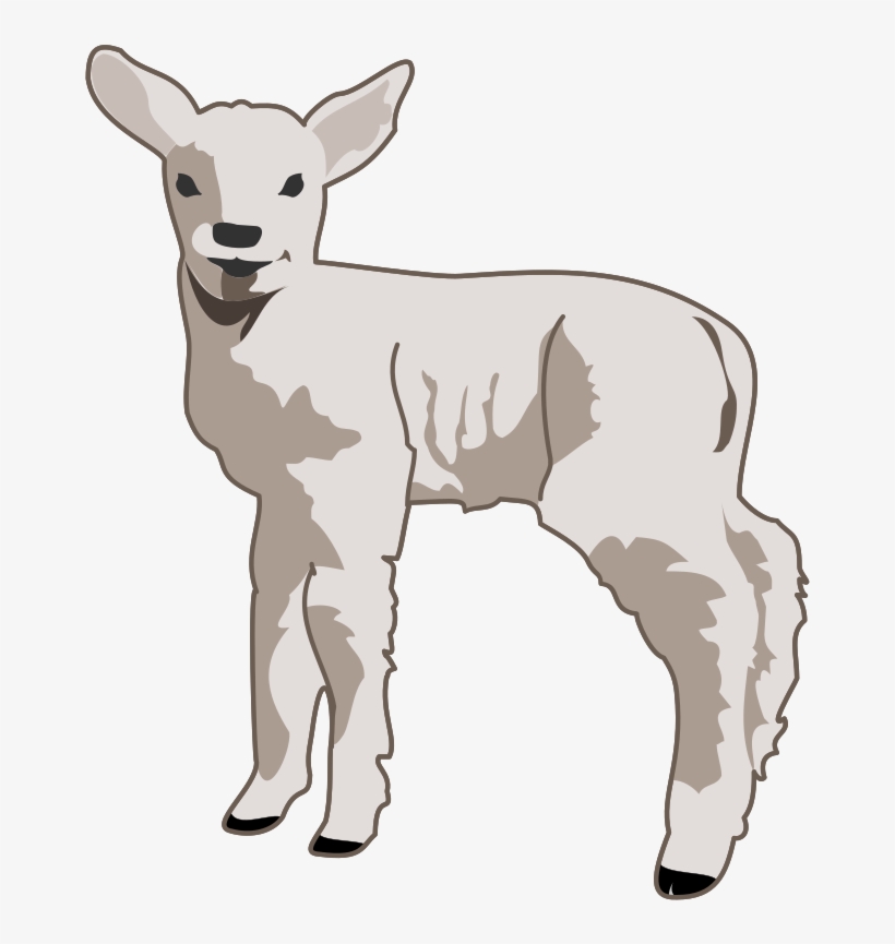 Medium Image - Lamb Clipart, transparent png download