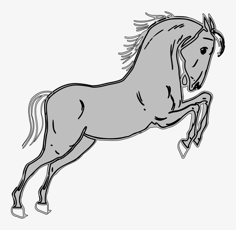 Pony Clipart Grey Horse - Clip Art Gray Horse, transparent png download
