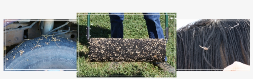 Stone Wall, transparent png download