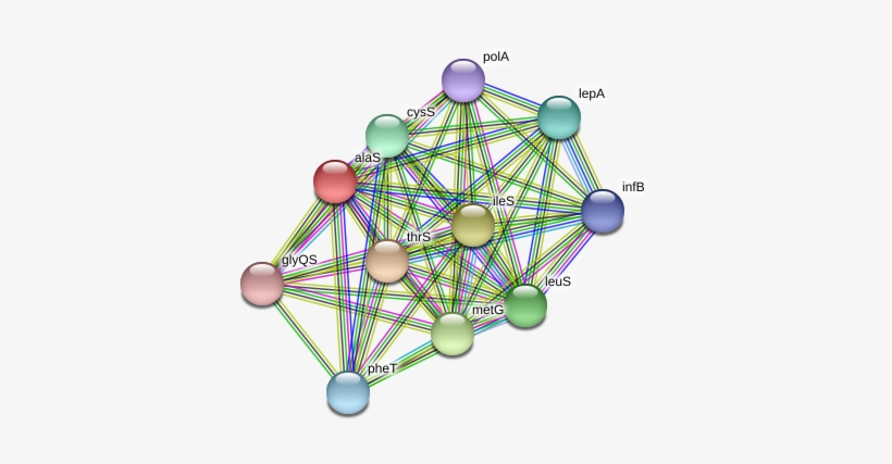 Alas Protein - Circle, transparent png download