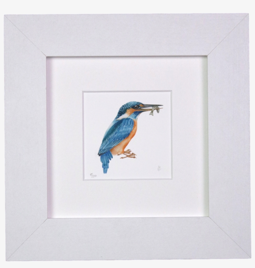 Western Meadowlark, transparent png download