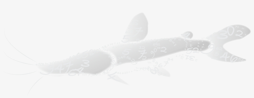 Amazon Fish Project - Sardine, transparent png download