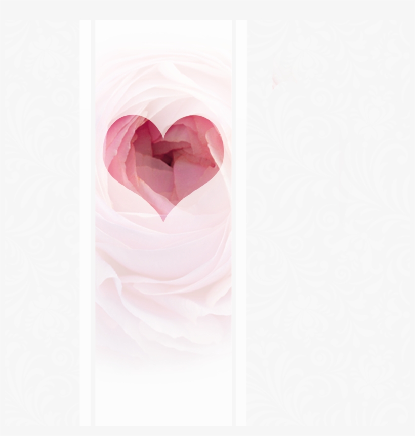 Rose Heart On Ivory - San Valentin Fondo Negro, transparent png download