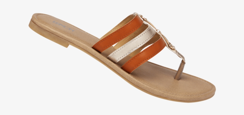 womens daily wear slipon flat chappal flip flops png image transparent png free download on seekpng womens daily wear slipon flat chappal