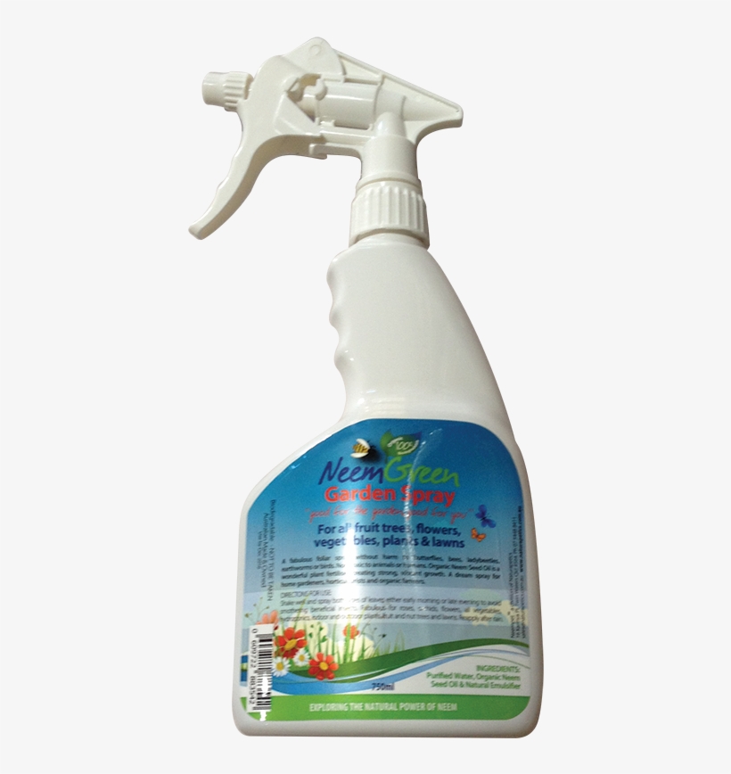 Insect, transparent png download