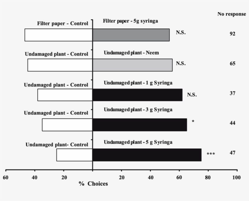 Effect Of Syringa And Neem On The Response Of Female - Number, transparent png download