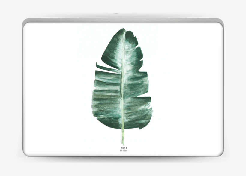 Musa Basjoo Skin Laptop - Iphone Xs, transparent png download