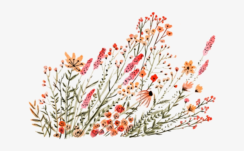 Floral Arrangements With A Soul To Beautify Each One - Dainty Flower Drawings, transparent png download
