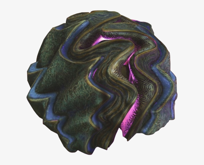 Armoured Clam - Illustration, transparent png download