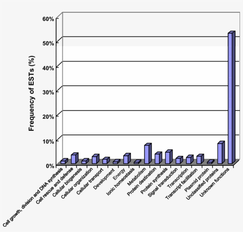 Functional Categorization Of The Blast Results Of The - Diagram, transparent png download