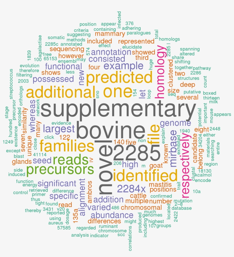 Stem Loop Sequence Bta Mir 2284a - Mergers And Acquisitions, transparent png download
