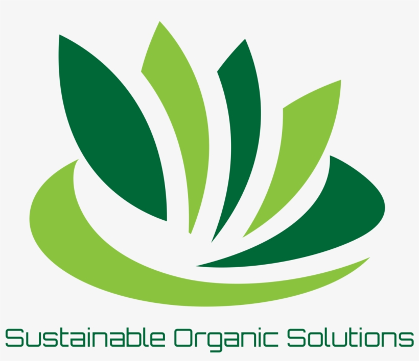 Invoice, transparent png download