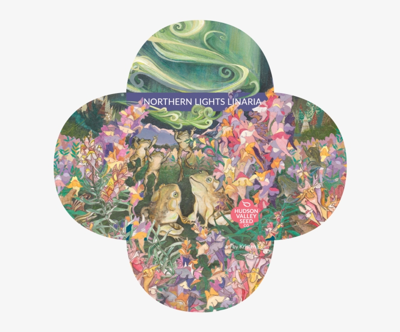 Northern Lights Linaria Quatrefoil - Floral Design, transparent png download